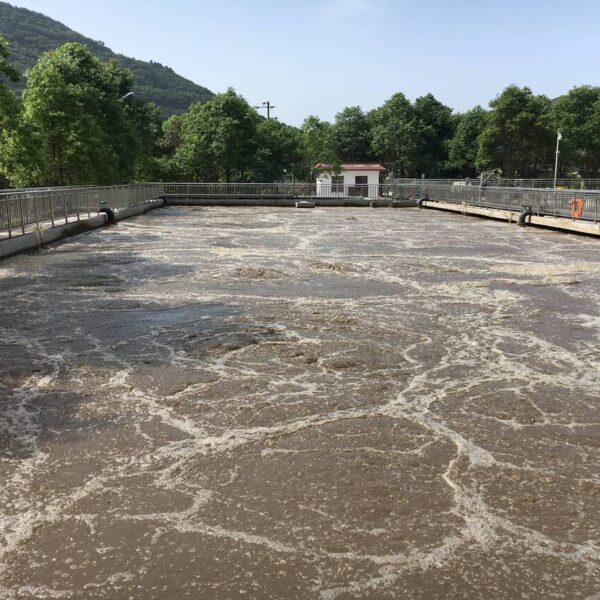 Challenges and Solutions for Pesticide Wastewater Treatment: Case Study of Jiangsu XXX Pesticide Manufacturer