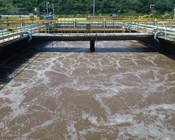 Pharmaceutical Wastewater Treatment With BDD: Hebei XXX Pharmaceutical